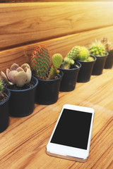 Mobile phone blank screen on plank with cactus and wood backgrou