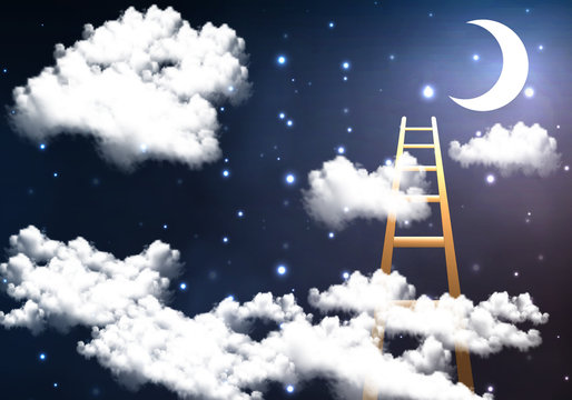 ladder to the night sky