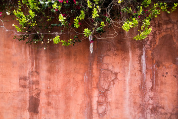 wall background with flowers and leaf