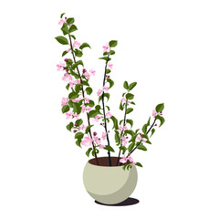 japan cherry branch with blooming flowers, sakura,  vector illustration