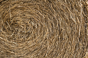 Swirly rice straw