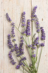 Photo sur Plexiglas Lavande Bunch of lavender flowers
