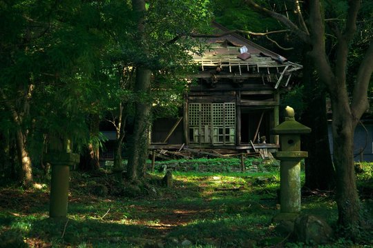 廃寺