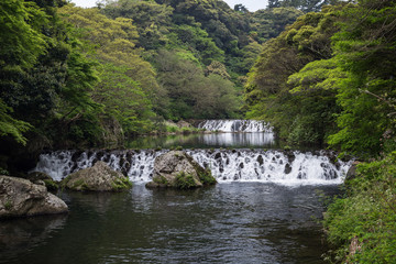 Fototapeta premium View of Cheonjiyeon River and two small cascades near Cheonjiyeon Falls on Jeju Island in South Korea.