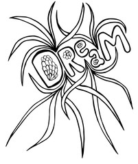 Dream lettering on the white background