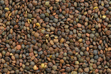 Lentils seed background