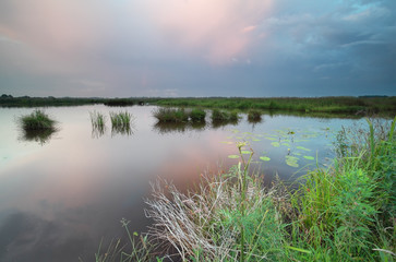 wild pond after rain during sunset