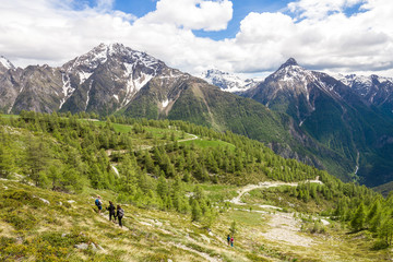 Escursionisti in montagna
