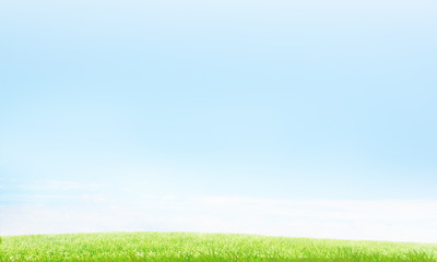 Summer natural background