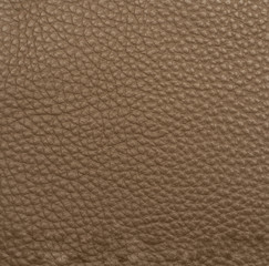 Brown leather macro shot