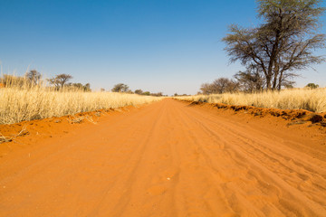 Naklejka premium Sand Road in Namibia, Africa
