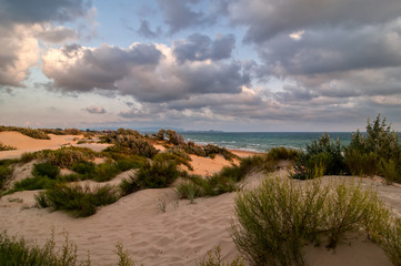 Sunset over the dunes on the Black Sea coast, Russia, Anapa