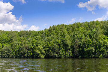 Fototapeta na wymiar Trees along the shore of Lake