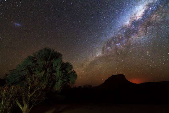 A small tree in front of the awesome milky way in Isalo, Madagascar