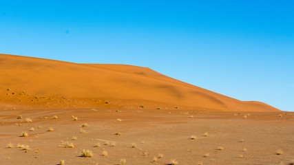Fototapeta na wymiar Scenery of the dunes of sossusflei