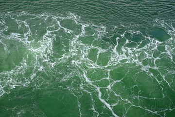 Bubble ocean Black and white