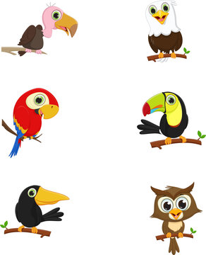 collection of cute birds on a tree branch