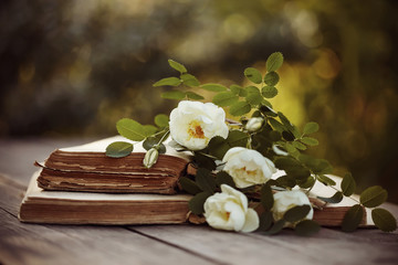 White dogrose and open books on a table
