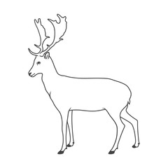 Noble deer vector