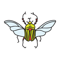 vector color beetle