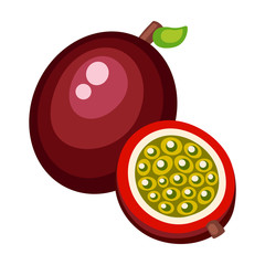 Cartoon maracuja on a white background. Maracuja Icon in Color. Vector illustration