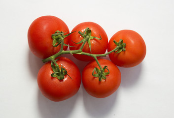 Fresh red tomatoes on a green branch on white background