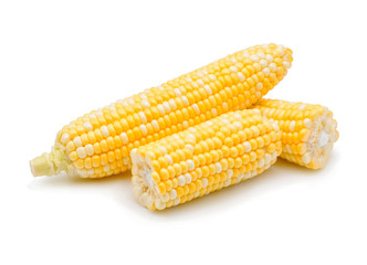 corn isolated on white background