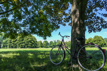 Fototapeta premium Bici e relax
