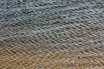Background with crystal clear water and small waves and rocks
