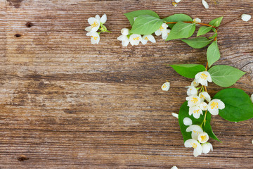 Jasmine flowers on wooden table