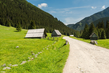Fototapeta na wymiar off track road in Chocholowska Valley