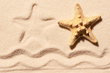 Fototapeta na wymiar Starfish, mark of starfish and mark of wave on sand