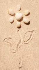 Fototapeta na wymiar Flower of sea stones with stem and leaves on sand