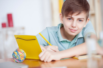 Young teenage boy studying at desk