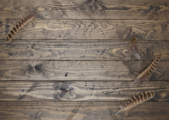 Bird feather border - Pheasant feathers arranged on a rustic wooden table top background to form a...