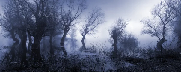 Photo sur Plexiglas Paysage Paysage effrayant montrant un marais sombre et brumeux en automne.