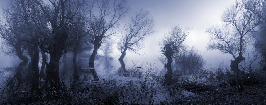 Creepy landscape showing misty dark swamp in autumn.