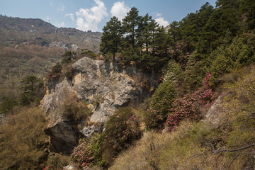 Fototapeta na wymiar The trail in the Himalayas