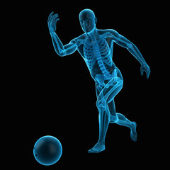 medically accurate 3d illustration of bowling player