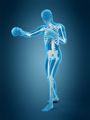 medically accurate 3d illustration of a boxing pose