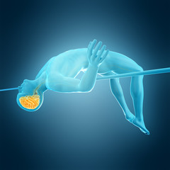 medically accurate 3d illustration of a highjump pose