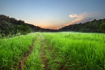 road on a green field