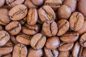 Special selection of coffee beans. Closeup shot
