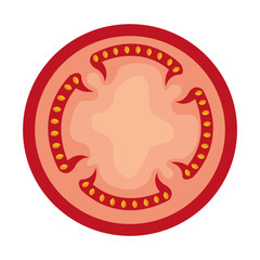 red slice of tomato front view over isolated background,vector illustration