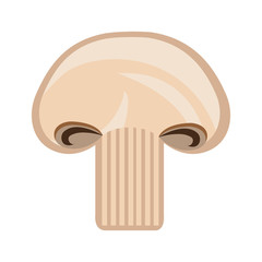 grey slice of mushroom front view over isolated background,vector illustration