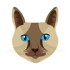 colorful avatar cat animation front view over isolated background,vecor illustration