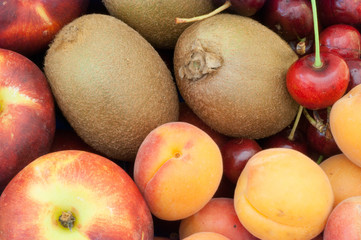 composition of fruit