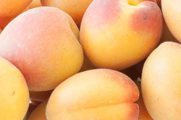 natural apricot
