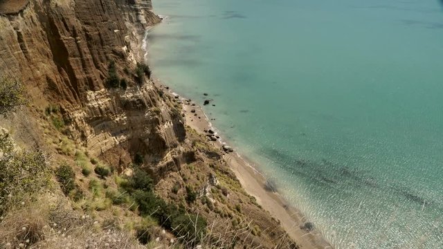 A Gannet colony at Cape Kidnappers, New Zealand