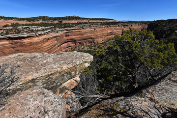 Colorado National Monument - Upper Ute Canyon